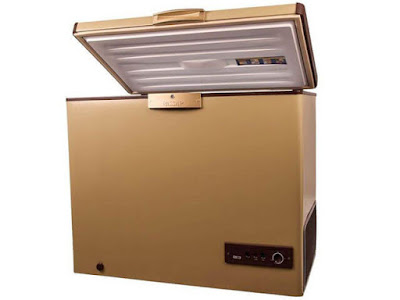 ديب فريزر باساب افقي سعة 200 لتر موديل ES241L ذهبي